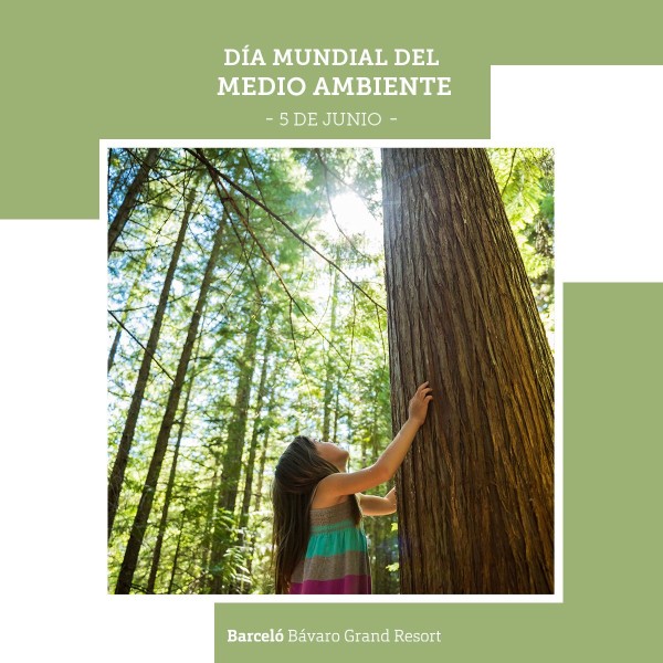 Barceló Bávaro Grand Resort celebra el Día Mundial del Medio Ambiente con un plan de reducción de plásticos
