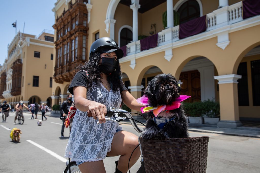 Al Damero de Pizarro sin carro: ciclistas de varios distritos participaron en el BiciHalloween