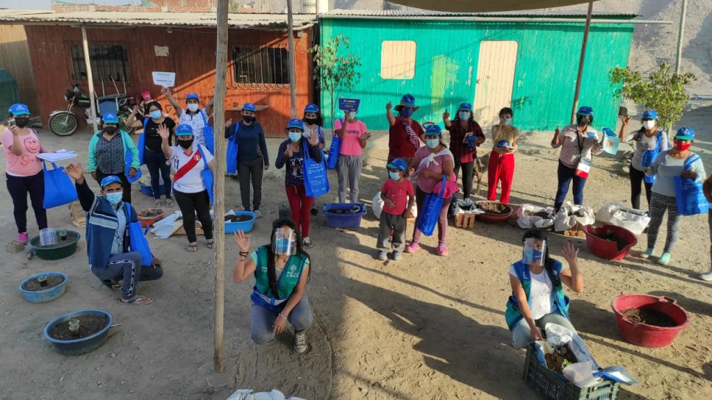 Posteras y pasacalles del SAT de Lima beneficiaron a cerca de 500 familias en talleres de biohuertos