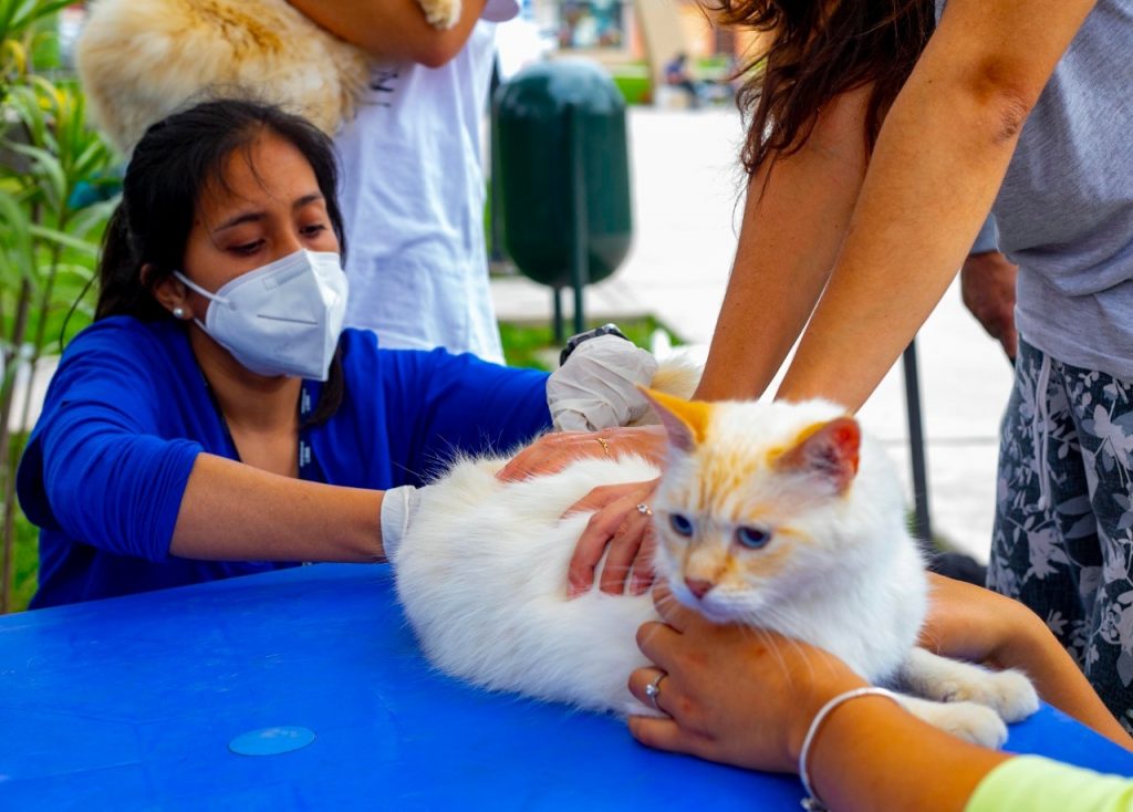 MML llevará a cabo la primera edición del año de la feria para mascotas