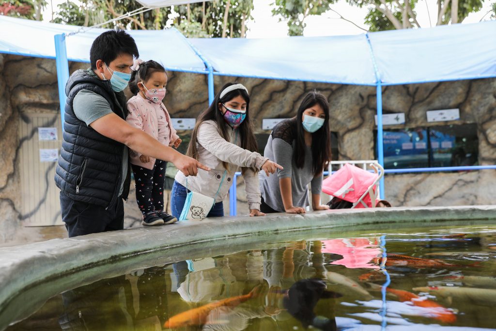 VEN A CELEBRAR EL ANIVERSARIO DE LIMA EN EL PARQUE DE LAS LEYENDAS