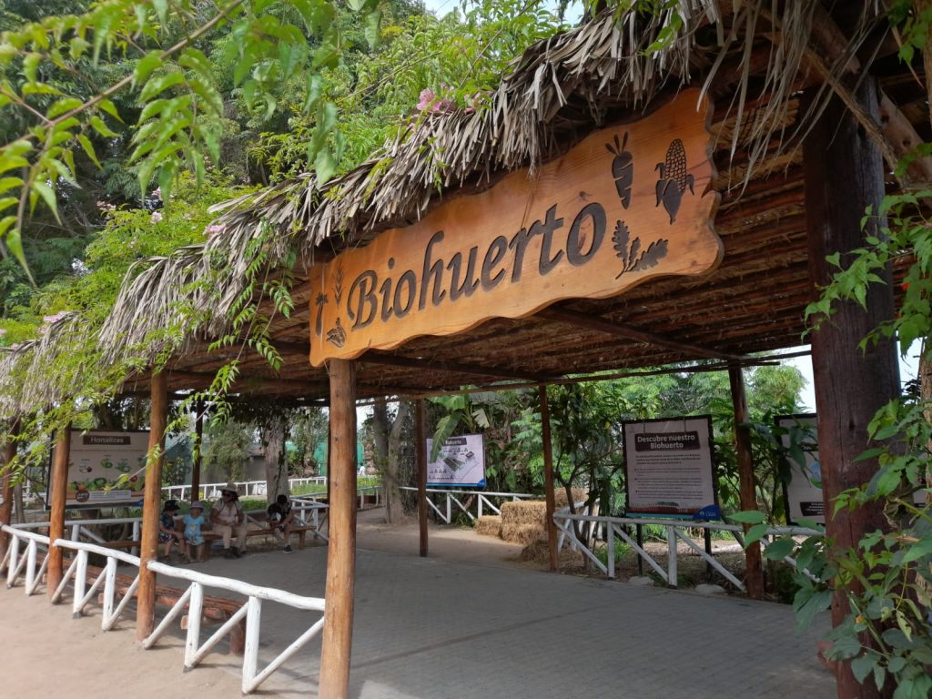 PARQUE DE LAS LEYENDAS: CONOCE CÓMO SE CULTIVAN Y PRODUCEN LAS PLANTAS DEL BIOHUERTO