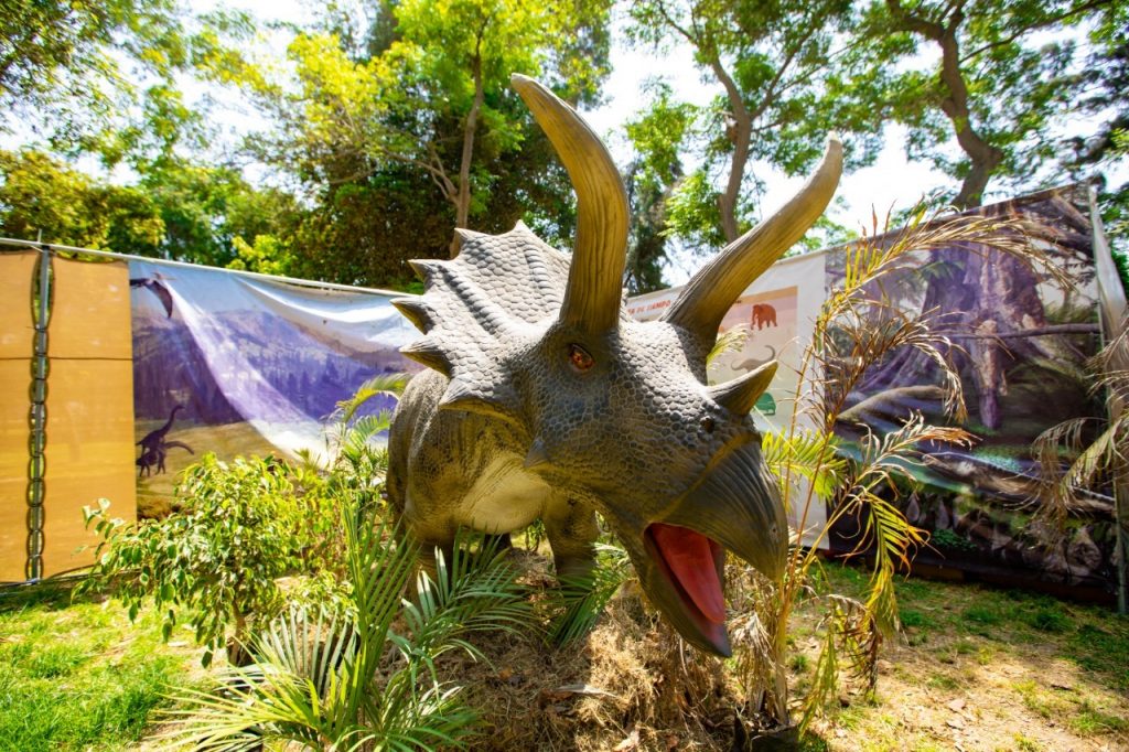 Ven al club zonal Sinchi Roca y visita la exhibición de dinosaurios a escala real