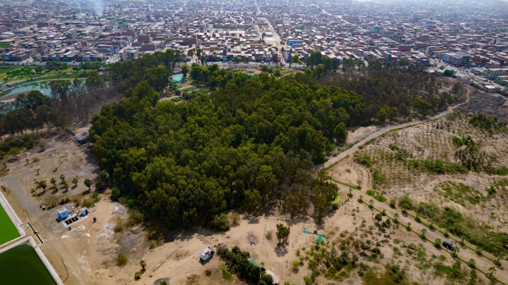 Conoce los bosques educativos municipales de lima sur y norte