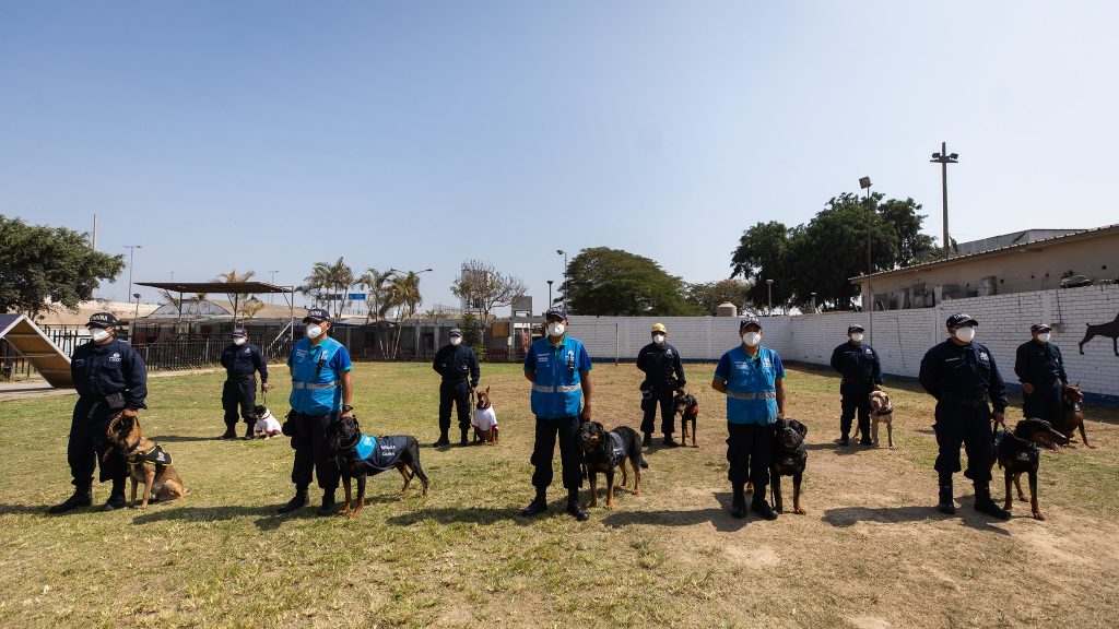 Brigada Canina del Serenazgo de la MML cumple 25 años resguardando las calles del Cercado