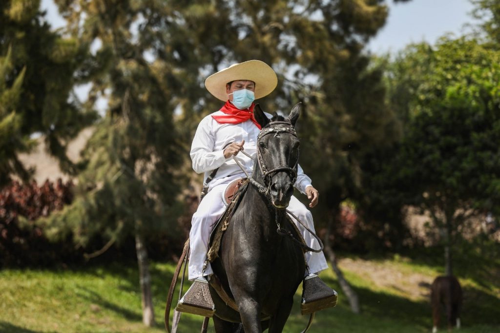Elegancia y belleza: celebra el Día del Caballo Peruano de Paso en el Parque de las Leyendas