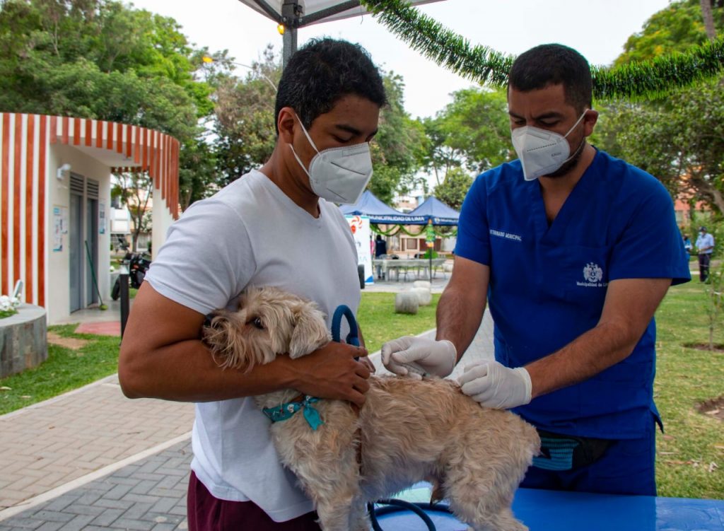 ¡Toma nota! este domingo la MML ofrecerá diversos servicios gratuitos para los engreídos de cuatro patas