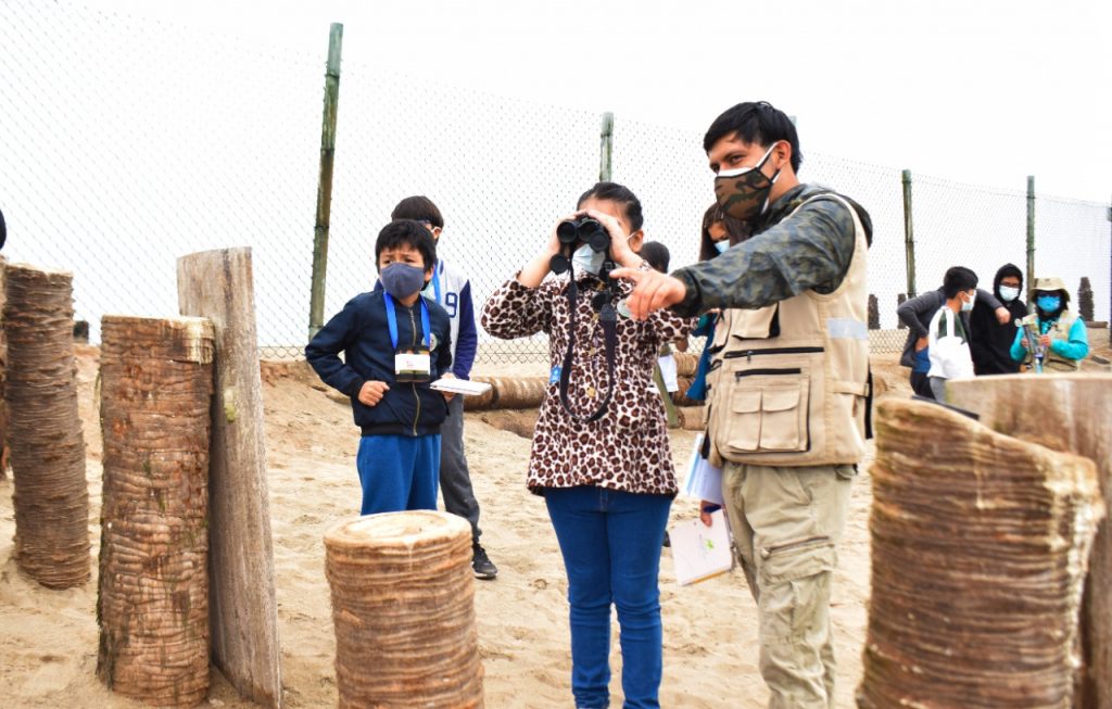Pantanos de Villa: participa en el evento de avistamiento de aves más importante del mundo