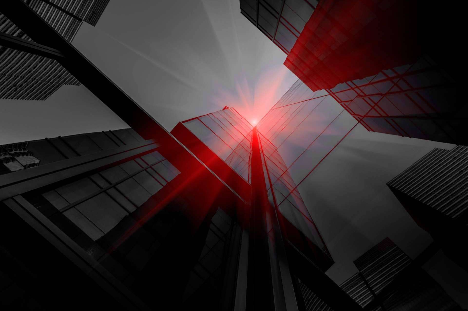 XP Group Business Network, la plataforma que permite desarrollar negocios