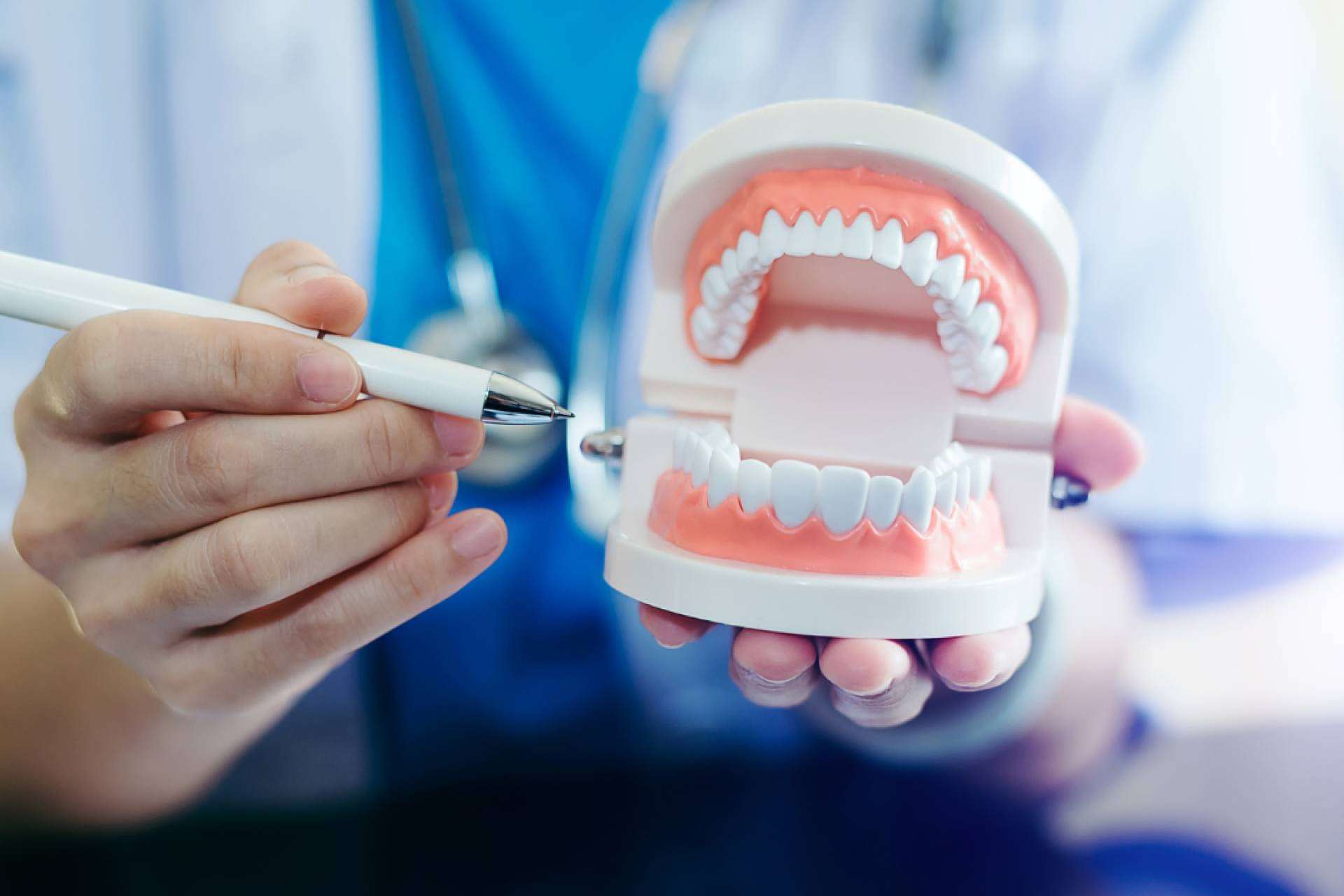 La odontología regenerativa. ¿Son las células madre una revolución en odontología?