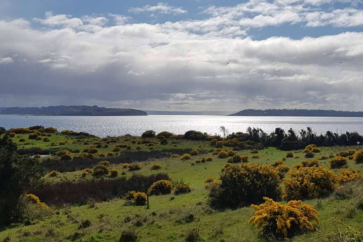 Latitudes Australes ofrece lugares fascinantes en Chiloé para invertir en una parcela