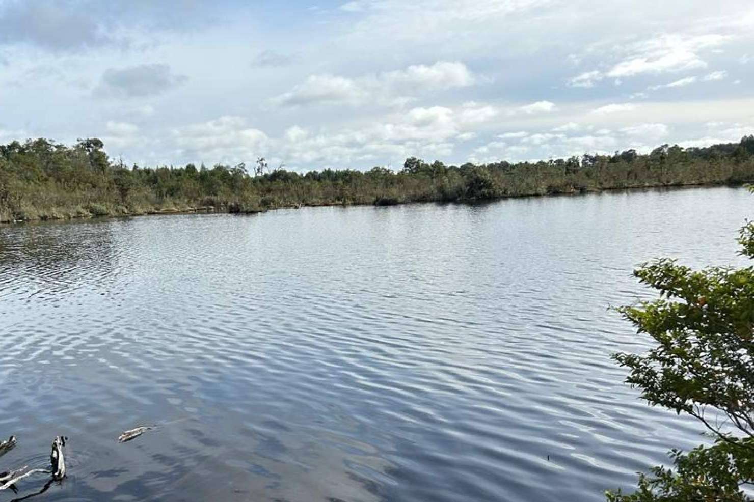 Los proyectos de parcelas de la empresa Latitudes Australes permiten disfrutar de la tranquilidad y la belleza de Chiloé