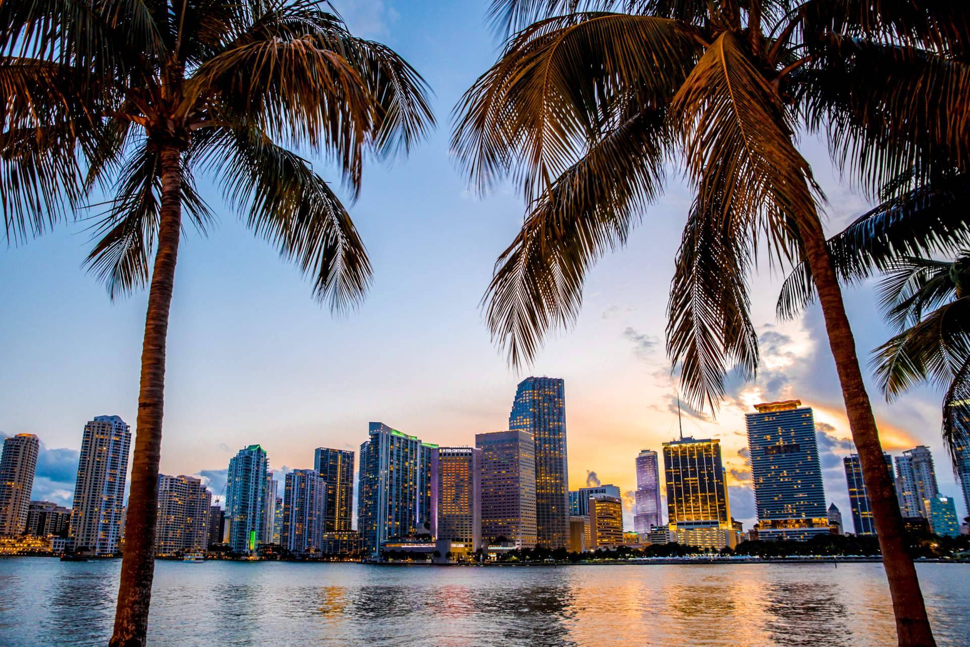 UTG Miami es una inmobiliaria en Miami que ofrece una amplia variedad de apartamentos en preconstrucción