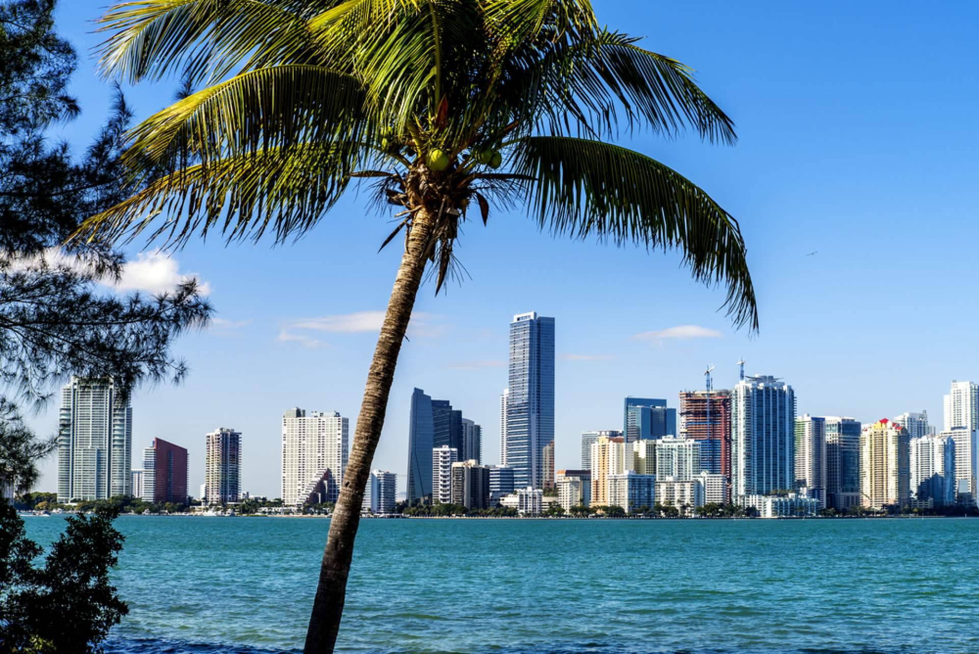 El auge de Miami como epicentro de lujo y residencia para billonarios redefine el mercado inmobiliario